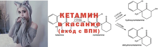 ПСИЛОЦИБИНОВЫЕ ГРИБЫ Балабаново
