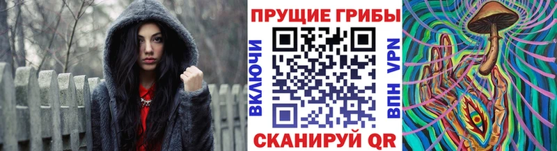 hydra ССЫЛКА Верхнеуральск Псилоцибиновые грибы MAGIC MUSHROOMS